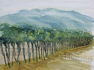 "Allee in Paliano", 2007, Aquarell, 40 x 50 cm