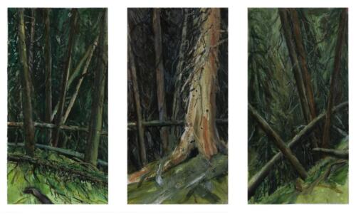 "Forest Tryptic", 2001, Acryl auf Papier, 3 x je 69,6 x 37 cm