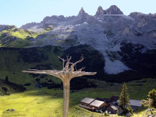 Gauertaler AlpkulTour, PoI 10, "Der Sagenbaum", Obere Spora Alpe