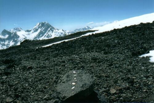 "Alluvion", 2003, Muschelstücke auf Lava. Marmolejo, Chile, (5.100 m.ü.M.)