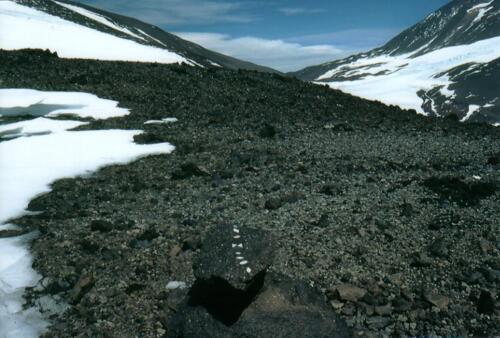 "Alluvion", 2003, Muschelstücke auf Lava. Marmolejo, Chile, (5.100 m.ü.M.)